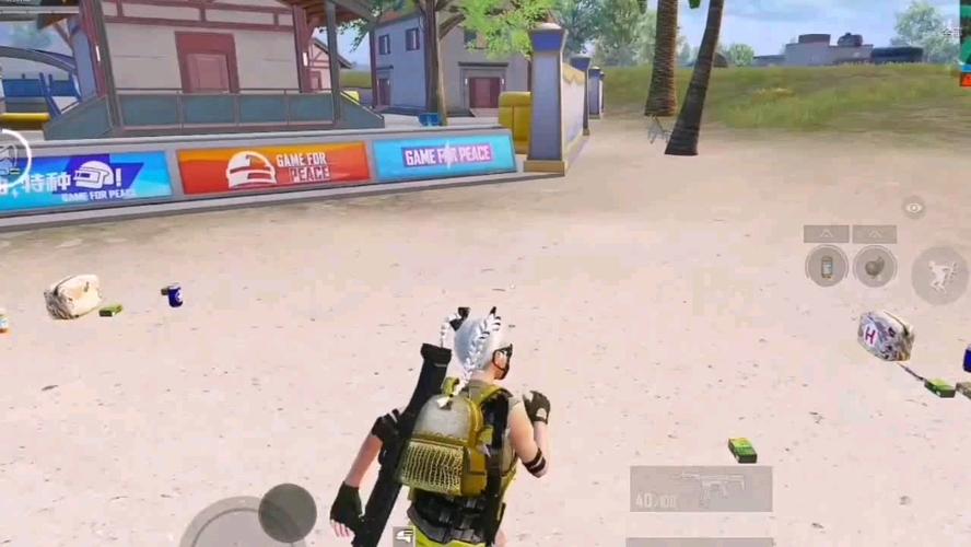 和平精英《圣女果》直装外挂全网首发上市